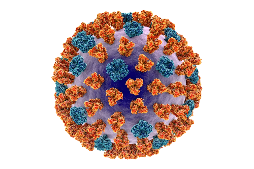 Artist's conception of influenza virus