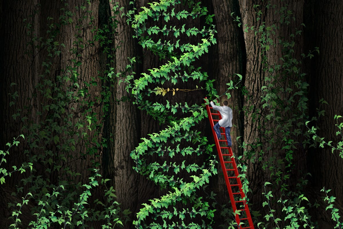 Illustration of person climbing ladder to reach into bush shaped like double helix