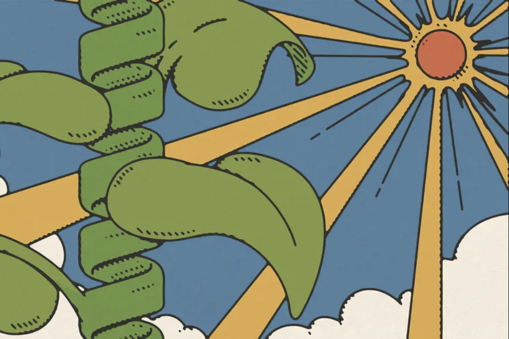 Deocrative graphic with beanstalk and sun